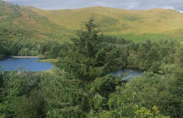 Cosy holiday caravan minutes from the beach - Foto 38