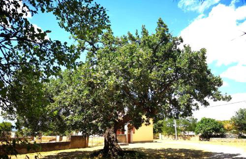 Holiday Home Jaga - Foto 55