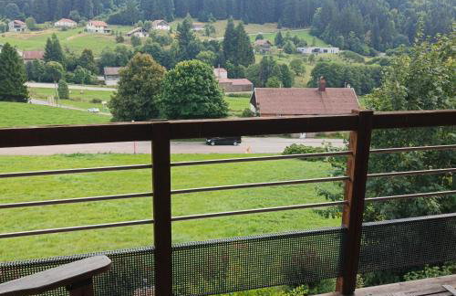 Chalet Bois le Havre du sotrè Gérardmer Sauna panoramique jacuzzi 14 personnes et 1 bébé - Photo 7
