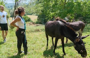 B&B Naturin - Vegan Eco Farm - Photo 4