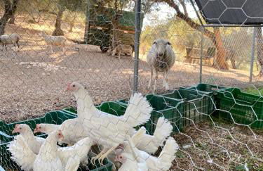 El Molino de La Quinta - Photo 12