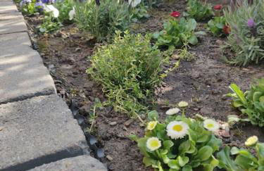 Ruhige 2-Zimmer Wohnung in zentraler Taunus Lage - Foto 14