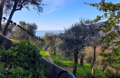 La Vivagna - Casa vista mare tra gli ulivi - Foto 41