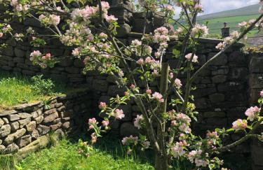 Coverdale cottage - Photo 53