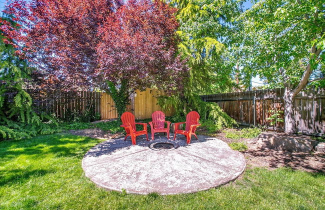 The Brandy Alexander - Foto 48