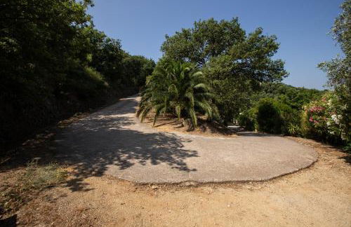 costa di sognu - Foto 17