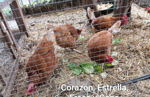 Encanto en el Moncayo - Photo 12