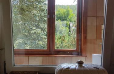 Gasthaus Piesau - Thüringer Wald - Rennsteig - Foto 20