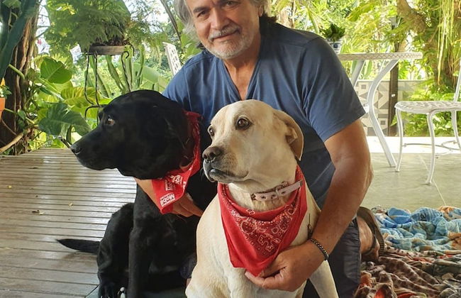 Andorinhas - Foto 62