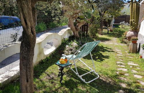 La Limonaia - Foto 33