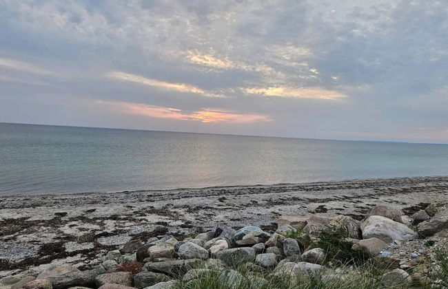 4 Person Holiday Home in Store Fuglede-by Traum - Foto 41