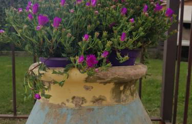 Magnifique villa de charme avec piscine - Foto 59