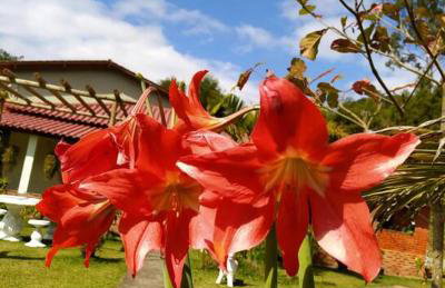 Casa de Campo Chácara Recanto da Águia - Foto 21