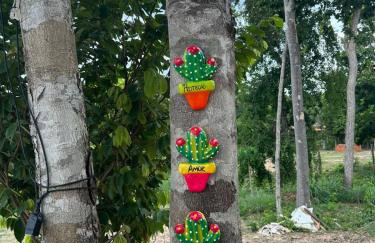 Sítio zona rural de Teresina - Foto 66