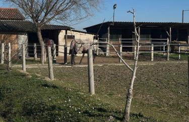 Ca 'Franzo - Foto 15