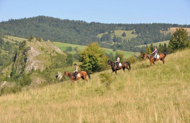 Jaworki Green Dream - Foto 76