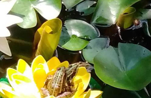 Apartment Meyerhof - Foto 11