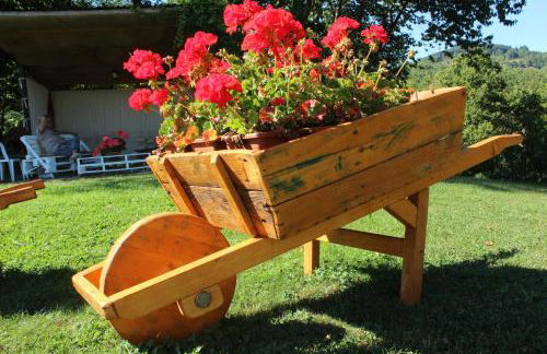 Borgo Caiano Country Inn - Foto 39