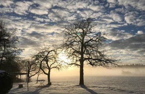 Pure Nature Munich - Amper Meadows/Freising - Foto 3