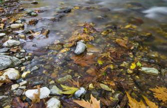 Kleitor Stone Villa-Peloponnese Getaway - Foto 69