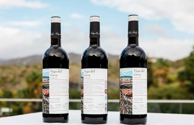 Tour in Álora - Photo 7