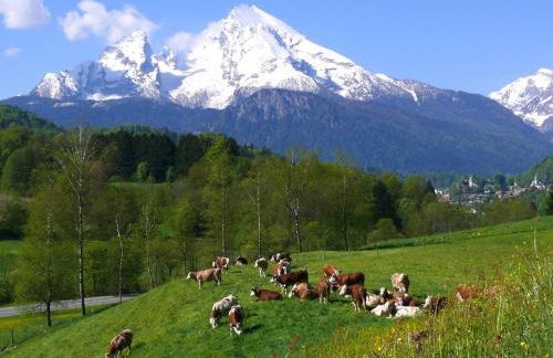 Ferienwohnungen Oberau - Foto 73