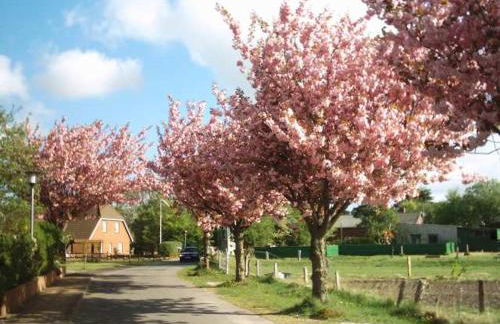 Captain Baack - Foto 30