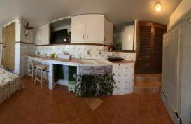 Beauty Garden - Foto 22