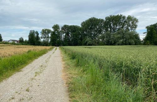 Landgut zur Mühle - Foto 32