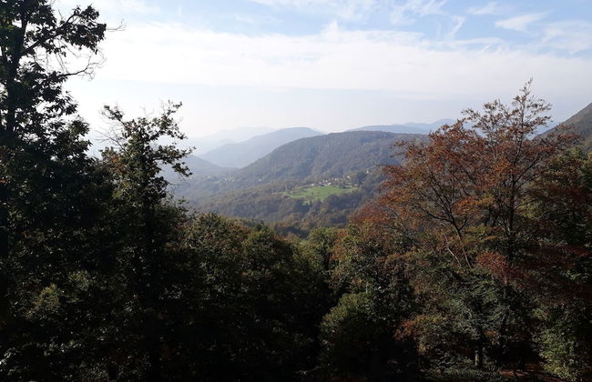 Casa Hürlimann Erholung Im Malcantone - Photo 56