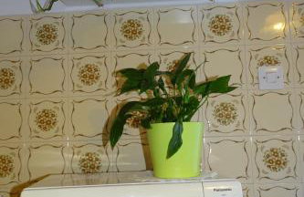 Apartment Parenzana Bibali 65 A 52460-Buje - Foto 47