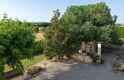 Can Cristus - Foto 8