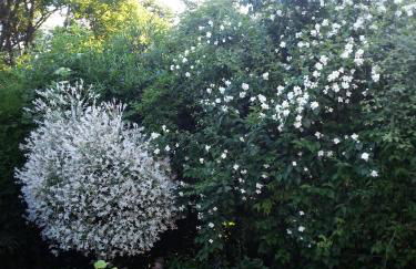 Ferienwohnung Morbach - Photo 7