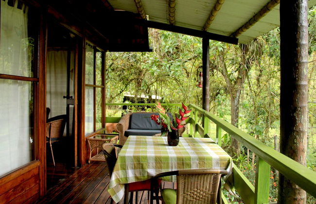 Mindo Eco chalet - Foto 20