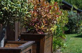 Gîte classé deux étoiles gite de France n 17 Signy-le-Petit - Foto 17