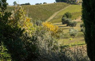 Casa Renzo, Exclusive Farmhouse with Private Pool - near Fermo - Foto 45