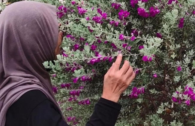 Kurau Inn Farmstay - Photo 22