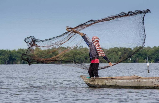 Excursion à Ciénaga - Foto 2
