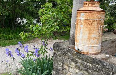 GITE COCOTTE - Foto 21
