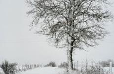 Gîte Volcans - 1-4 pers, au calme à 20 mins de Vulcania, Puy-de-Dôme et Lemptegy, 35 mins du Mont Dore et du Sancy - Foto 35