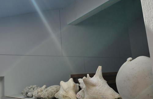 Jolie maison en bois climatisée Proche Lac&Océan - Foto 48