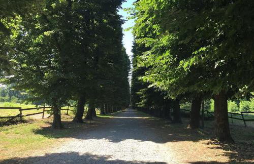 Lake&Stars - Il lago e le stelle - Foto 17