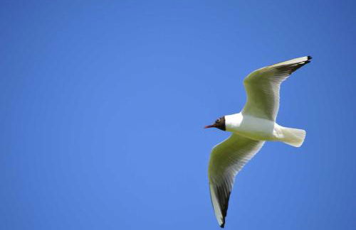 Nordseehof Fuhlehoern - Photo 19