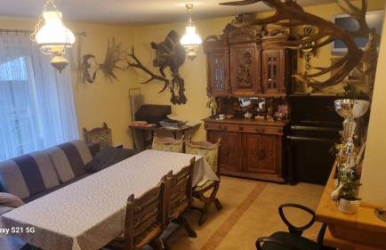 Pod Smerekiem - Photo 34