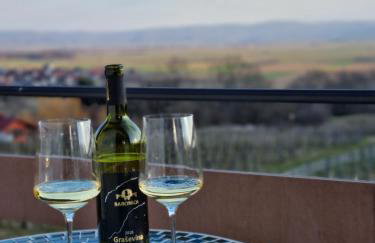 Kuća za odmor Baron - Foto 45