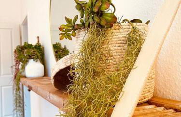 1.0 Relaxen am Kloster Johannisberg - Foto 20