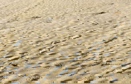 Cirpan Apart Otel - Photo 43