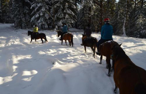 Ropuszy Dwór - Foto 24