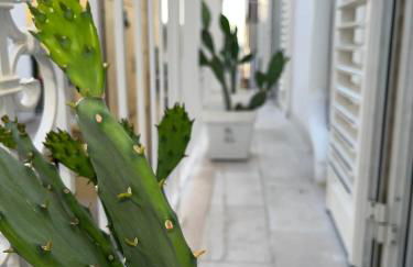 Antoniette-DimorePugliesi - Foto 8