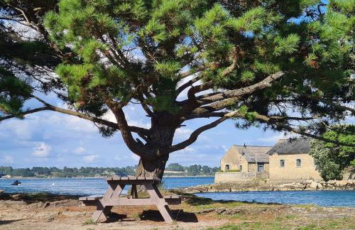 Une parenthèse enchantée à Larmor-Baden - Foto 27